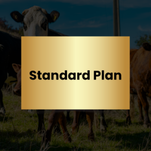 Standard Plan