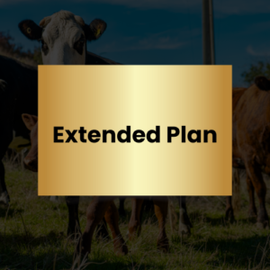 Extended Plan